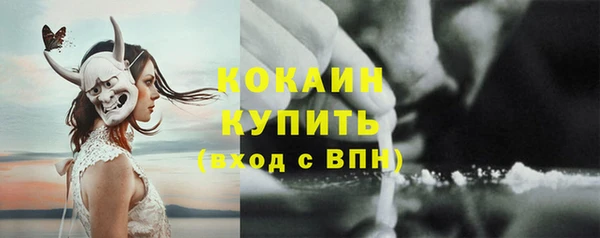 прущая мука Бородино