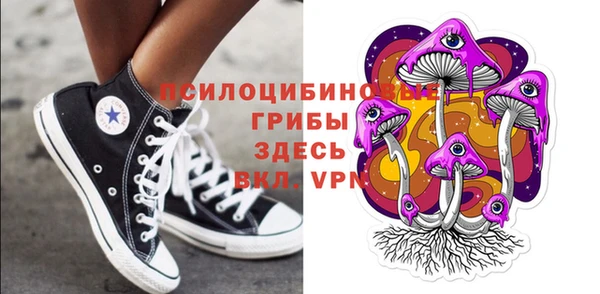 твердый Бронницы