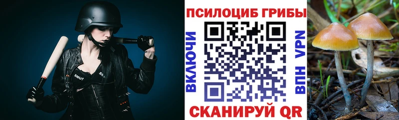 даркнет телеграм  купить  цена  кракен рабочий сайт  Бутурлиновка  Галлюциногенные грибы ЛСД 