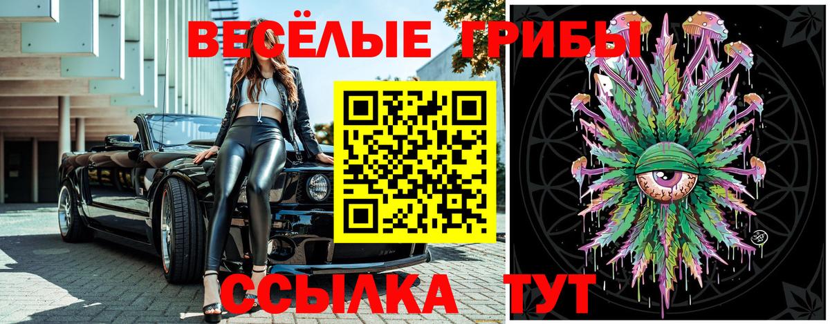 Бутурлиновка  Псилоцибиновые грибы прущие грибы  продажа наркотиков  Псилоцибиновые грибы MAGIC MUSHROOMS  Вход с VPN 