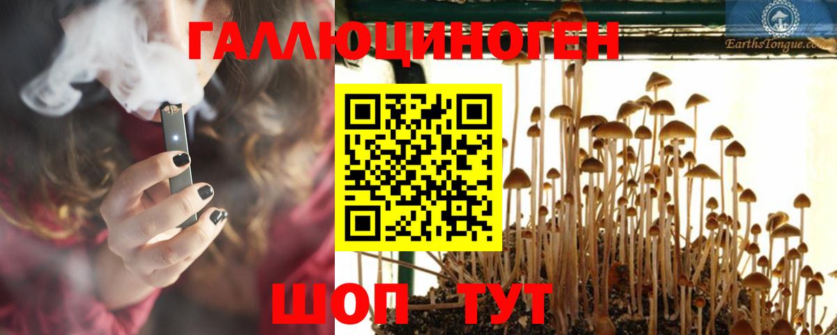 Галлюциногенные грибы MAGIC MUSHROOMS Бутурлиновка